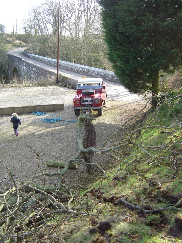 15th March 2008 023